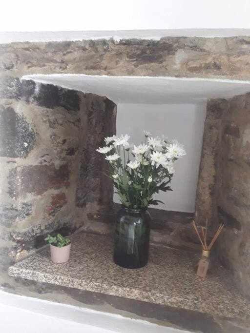 A Toca Do Cuco Na Vila Da Sertã Exterior foto